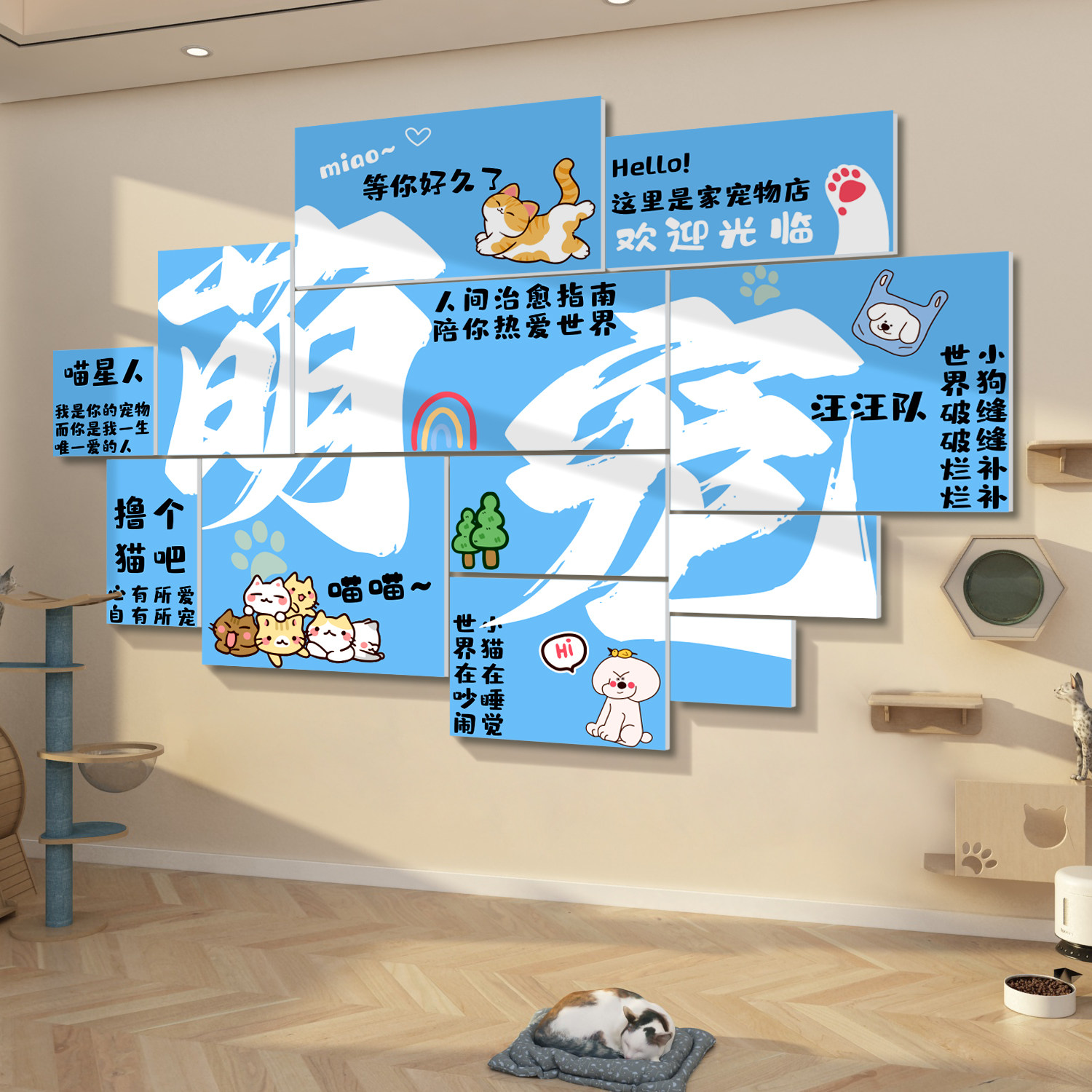 宠物店墙面装饰挂画网红猫咖舍布置用品玻璃贴纸美容医院装修背景