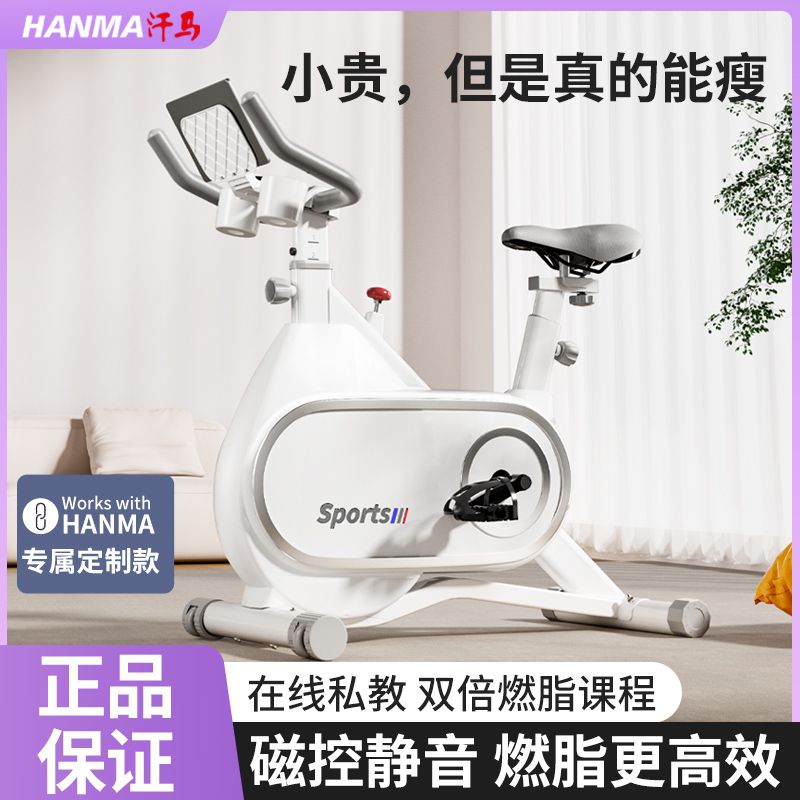 Hanma spinning home magnetic control