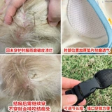 Гвардейские охранники для домашних коленок