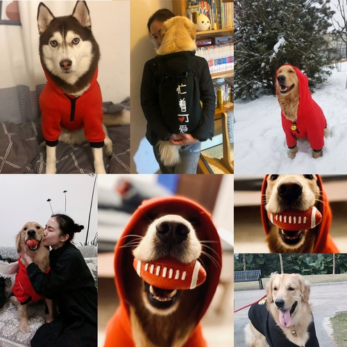 Золотой ретривер Big Dog Clothing Новый год осени и зимний латино -зимний Новый год.