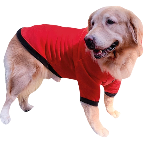 Золотой ретривер Big Dog Clothing Новый год осени и зимний латино -зимний Новый год.