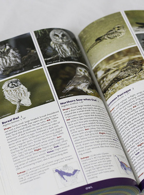 现代装饰鸟类介绍书籍样板间别墅