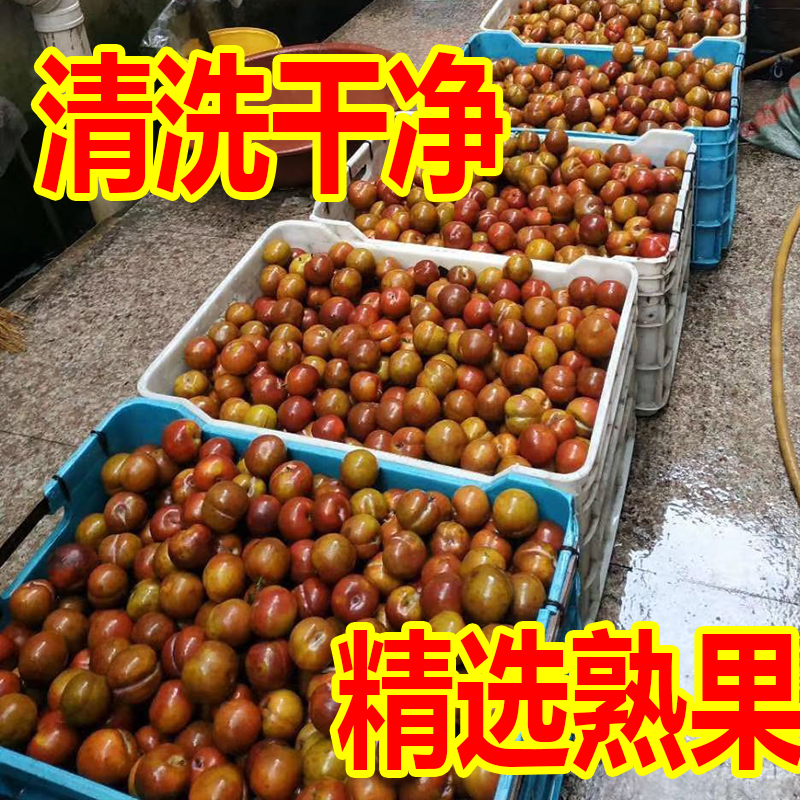 李干芙蓉李干李子干福建古田芙蓉李红心李三华李孕妇红心李 1斤,淘宝优惠券,粉丝福利购,淘宝优惠卷