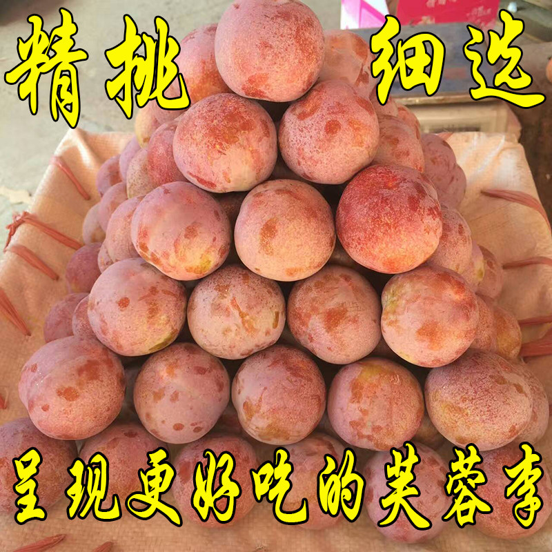 李干芙蓉李干李子干福建古田芙蓉李红心李三华李孕妇红心李 1斤,淘宝优惠券,粉丝福利购,淘宝优惠卷