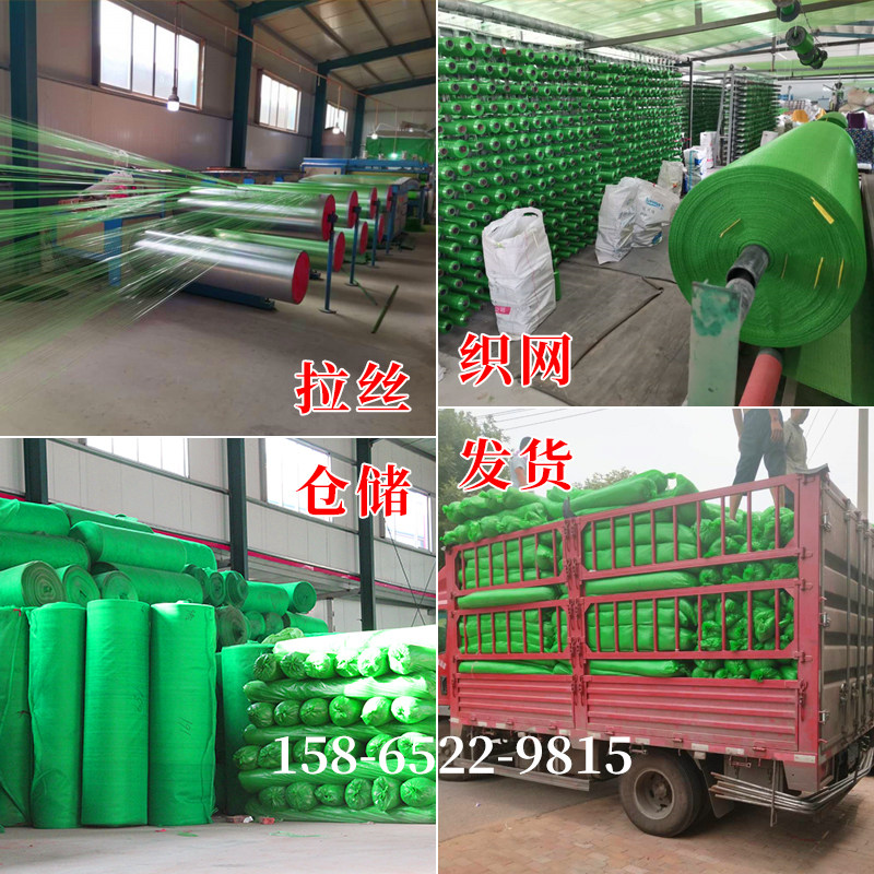 从遮尘屏障到城市生态革命的关键拼图