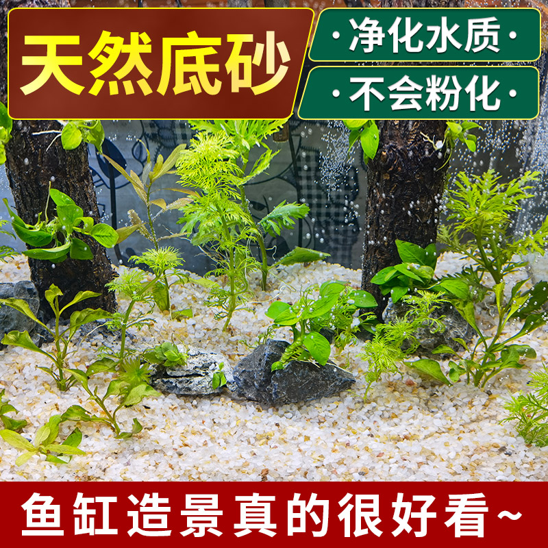 水晶沙鱼缸底砂造景沙石头铺底多肉铺面石子天然河沙鱼缸底部砂石 - 图0