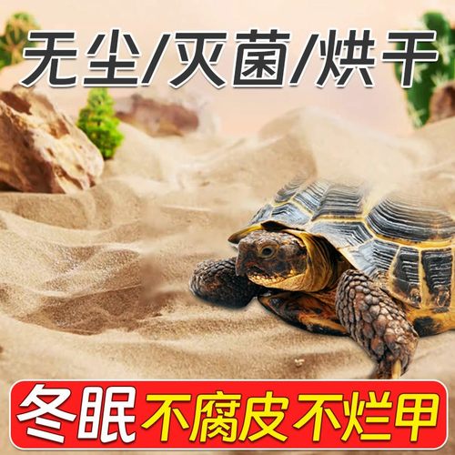 乌龟专用砂冬眠爬宠砂天然细河沙鱼缸铺底造景螃蟹陆龟产蛋海绵沙 - 图2