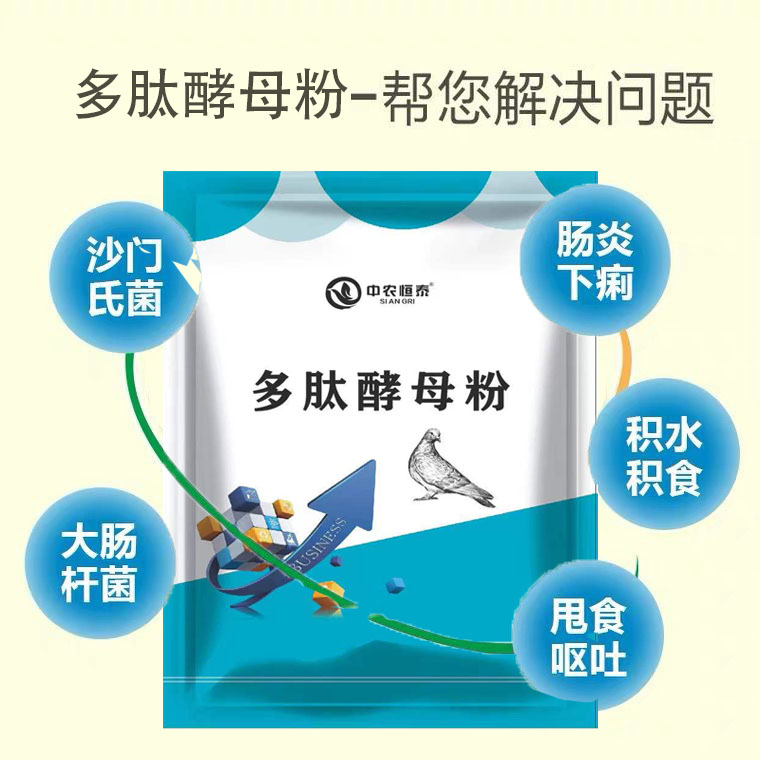 赛鸽用多肽酵母粉活菌啤酒酵母粉鹦鹉信鸽肠道调理保健鸟用益生菌-图1