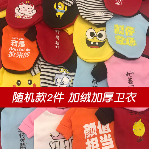 新款小狗狗衣服秋冬装泰迪猫比熊博美猫猫咪小型犬幼犬绒卫衣冬季 - 图2