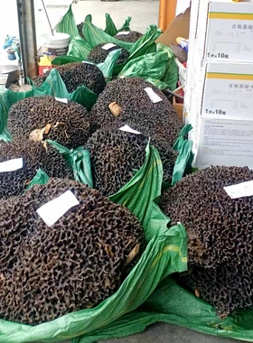 缅甸野生黑蚂蚁窝优质黑蚂蚁窝蚂蚁巢中药材蚂蚁窝原始森林蚂蚁巢