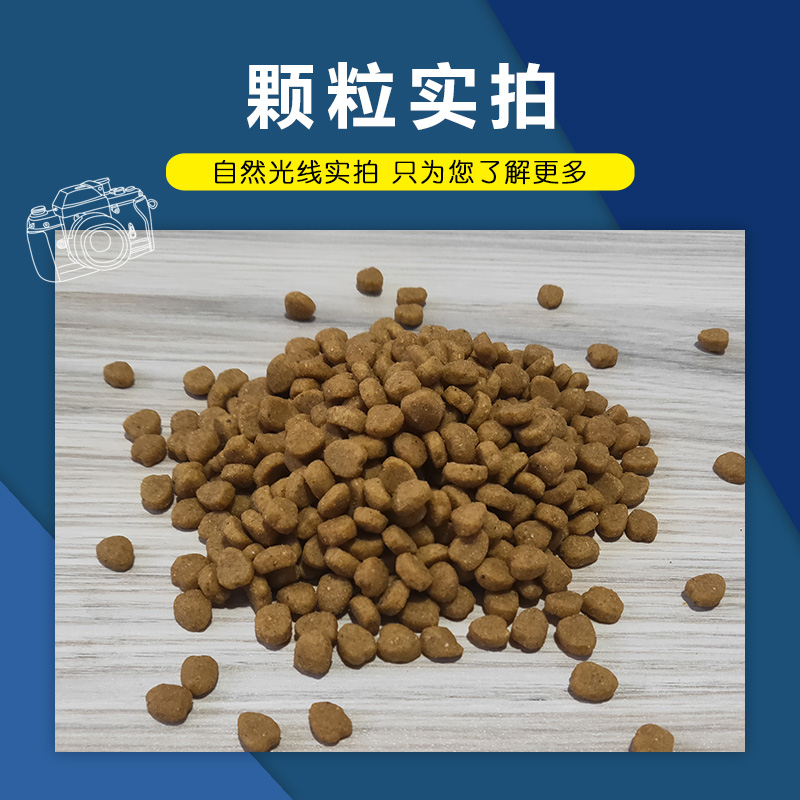夸克猫粮10kg幼猫 成猫英短流浪猫海洋鱼味挑嘴猫20斤全体型猫粮优惠券