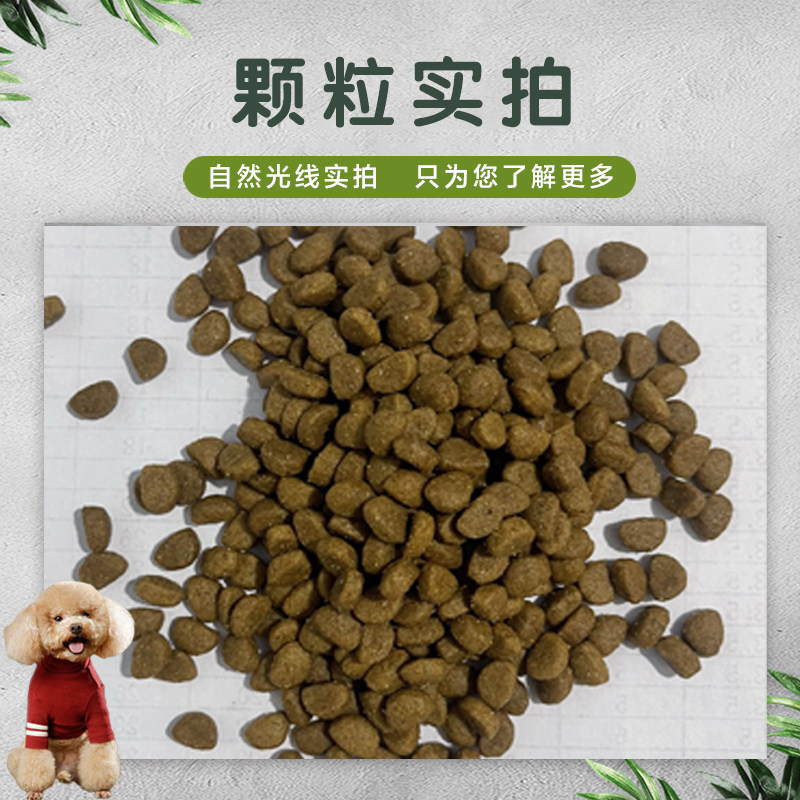 夸克A+幼犬狗粮5kg通用型拉布拉多马犬博美大中小型全犬种10斤装