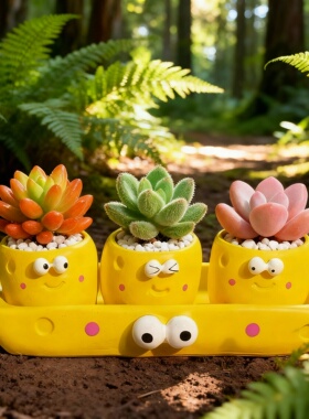 卡通可爱多肉植物陶瓷花盆摆件