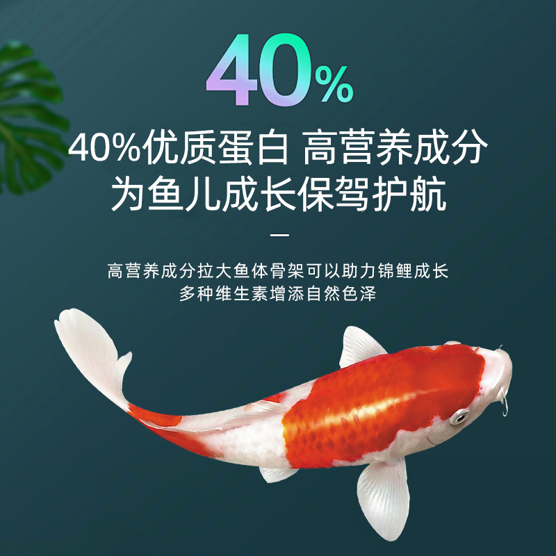 【实惠】神阳旗下鳞王锦鲤饲料育成锦鲤鱼饲料上浮颗粒锦鲤大包装,淘宝优惠券,粉丝福利购,淘宝优惠卷