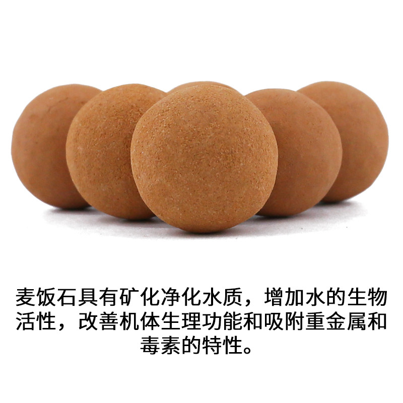 20粒矿物质麦饭石球矿化球过滤净水材料鱼缸虾缸微量元素活水培菌,淘宝优惠券,粉丝福利购,淘宝优惠卷