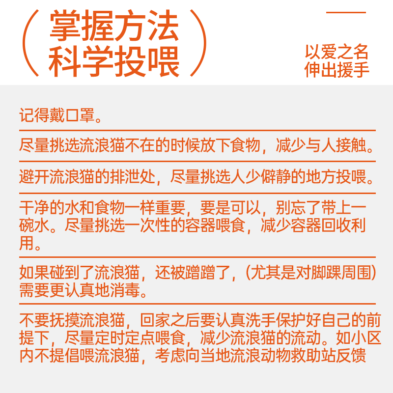 奥丁流浪猫救助粮幼猫成猫专用猫粮试吃便携小包装营养土野猫通用-图3