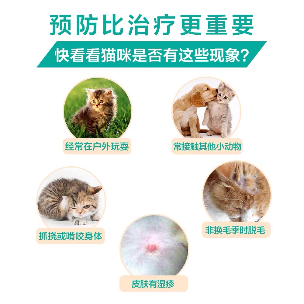 福来恩体外驱虫药滴剂猫用3支装博莱恩除跳蚤蚤卵幼虫猫咪驱虫药 - 图0