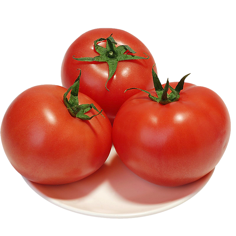 【欧会长甄选】攀枝花米易生吃番茄沙瓤西红柿新鲜蔬菜5斤包邮,淘宝优惠券,粉丝福利购,淘宝优惠卷