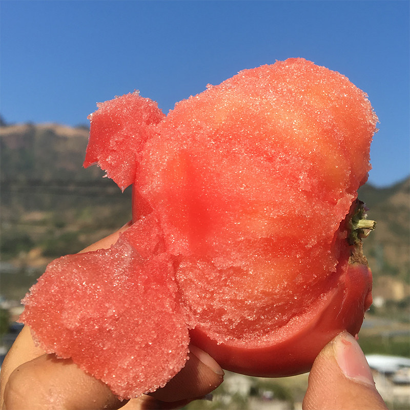 【欧会长甄选】攀枝花米易生吃番茄沙瓤西红柿新鲜蔬菜5斤包邮,淘宝优惠券,粉丝福利购,淘宝优惠卷