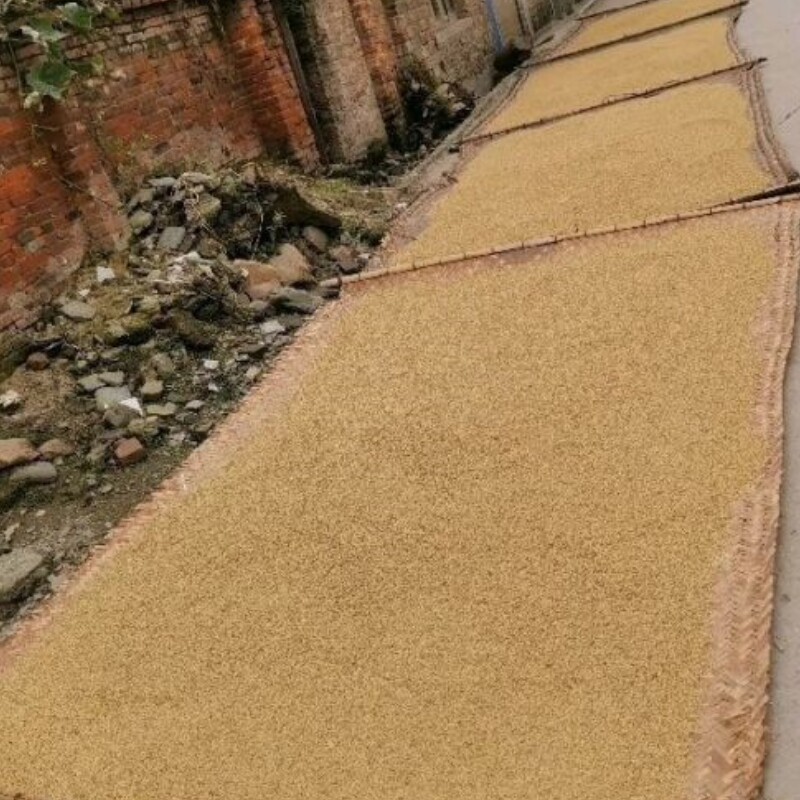 晒谷席晒稻谷神器工具铺地晾玉米竹席子晒茶叶东西竹编包边摊酒糟,淘宝优惠券,粉丝福利购,淘宝优惠卷