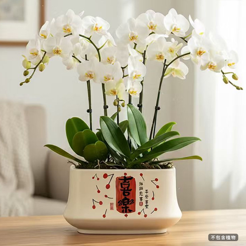 北欧花盆陶瓷大口径蝴蝶兰多肉绿植盆家用客厅电视柜办公桌装饰盆,淘宝优惠券,粉丝福利购,淘宝优惠卷