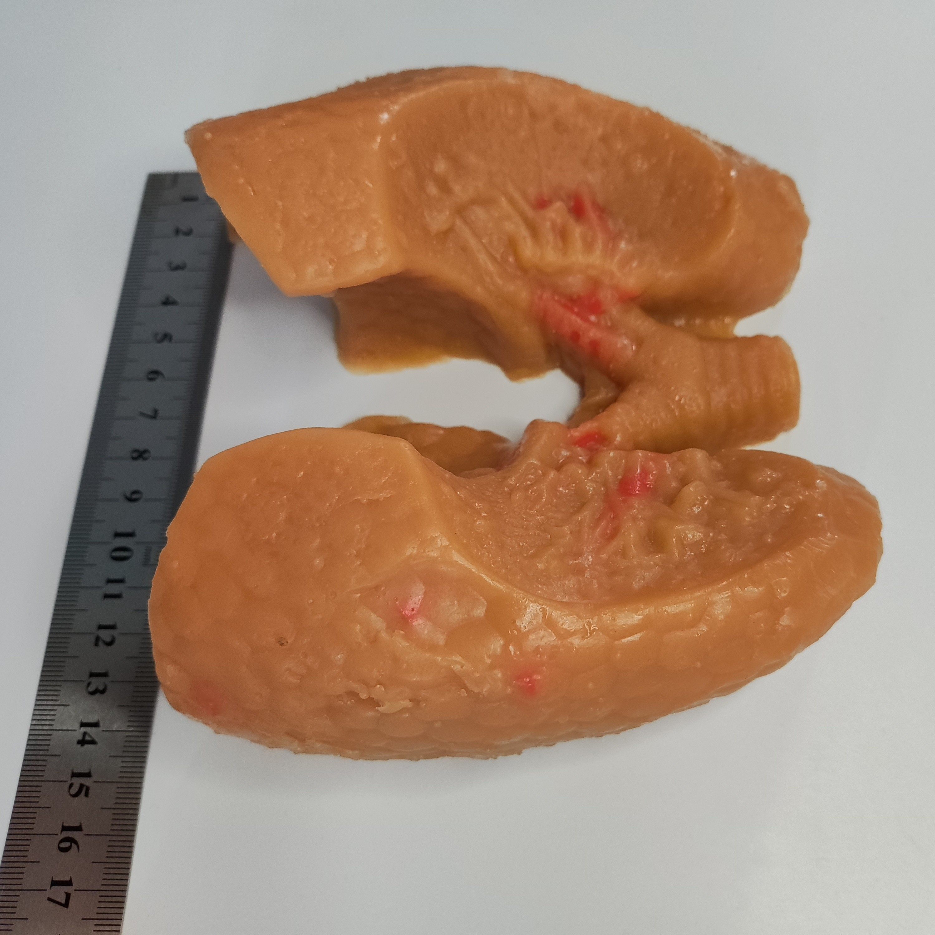 心胸外科肺叶缝合血管吻合模拟训练模块模型,淘宝优惠券,粉丝福利购,淘宝优惠卷