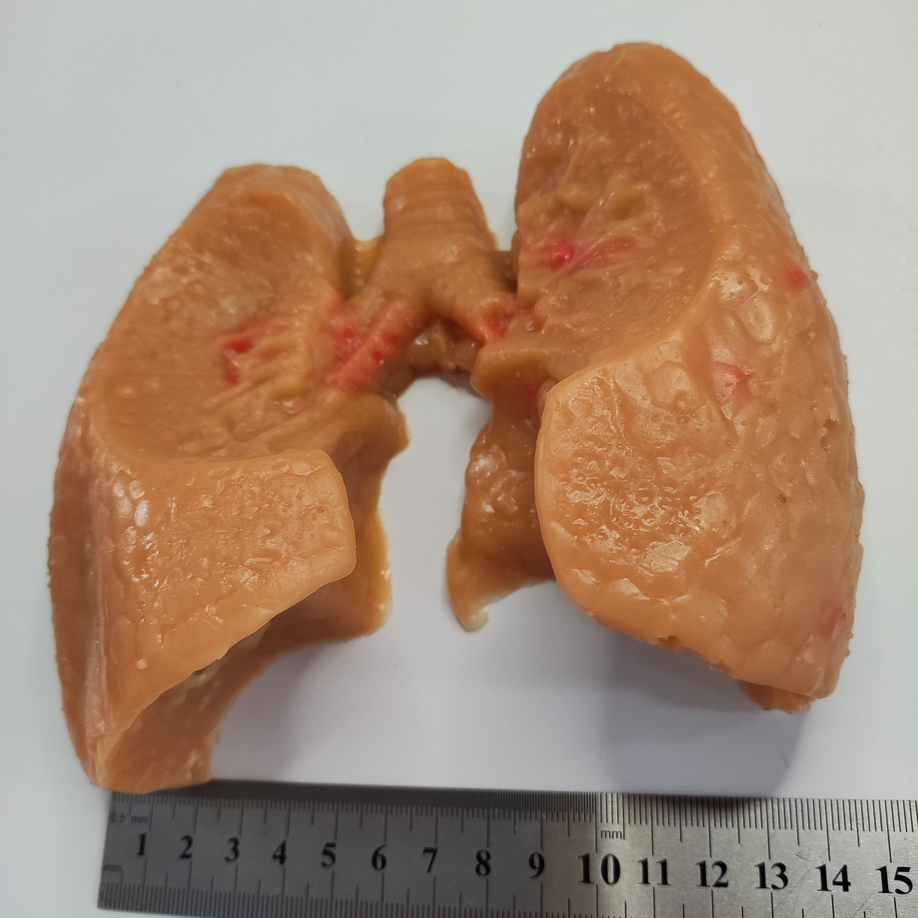 心胸外科肺叶缝合血管吻合模拟训练模块模型,淘宝优惠券,粉丝福利购,淘宝优惠卷