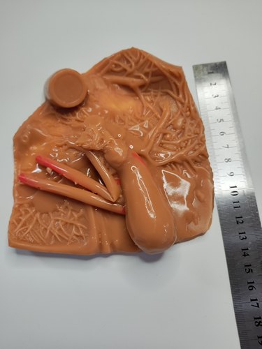 肝胆囊床外科腹腔镜模拟训练练习缝合剪切剥离模块模型 - 图2