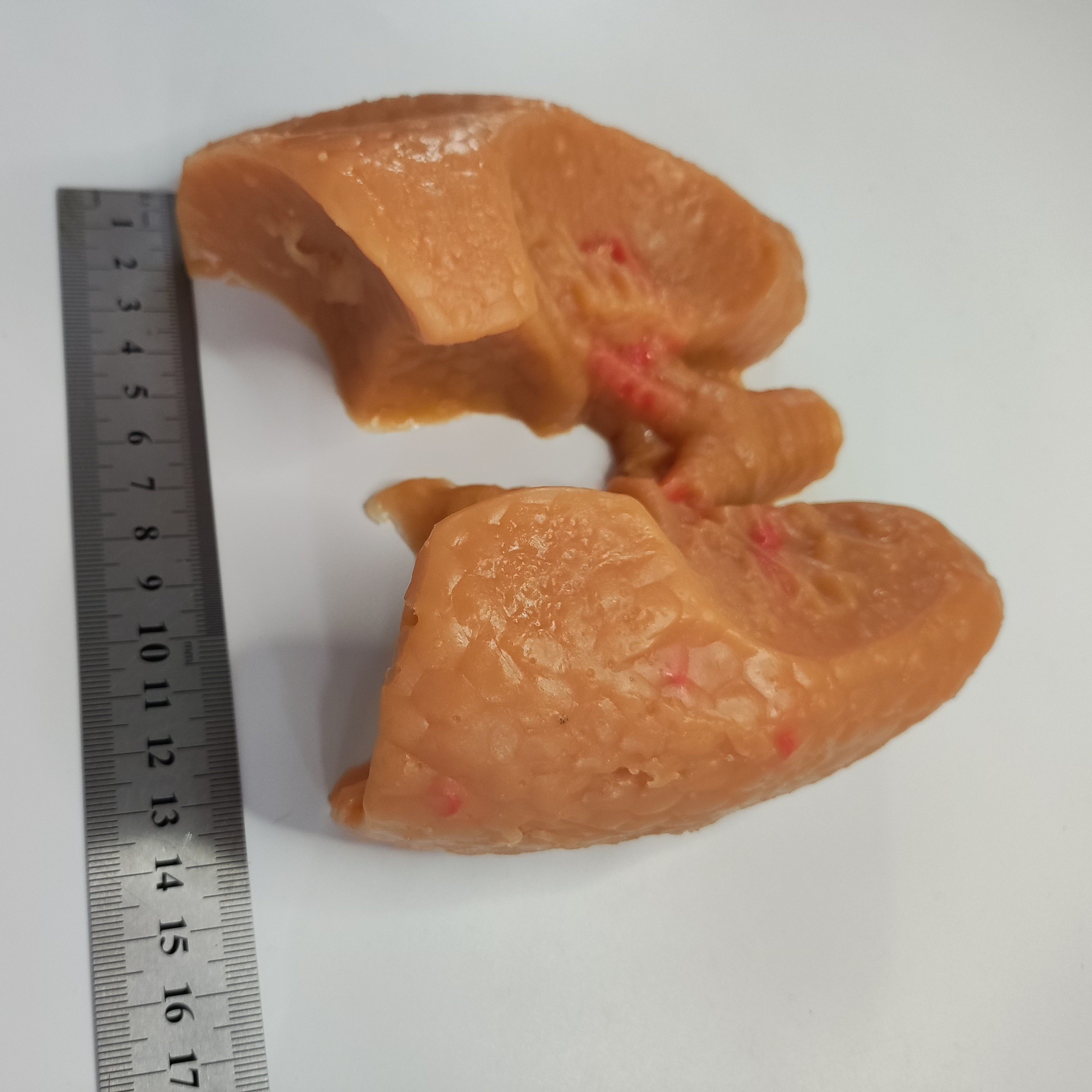 心胸外科肺叶缝合血管吻合模拟训练模块模型,淘宝优惠券,粉丝福利购,淘宝优惠卷