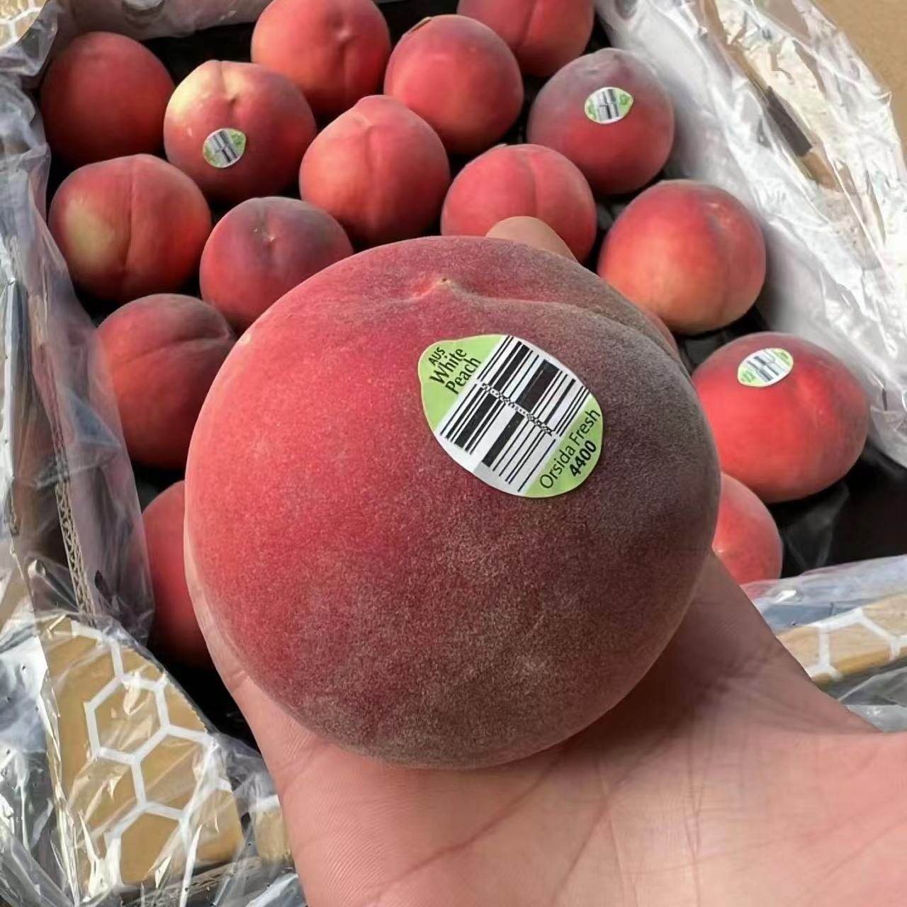 现货空运澳洲进口水蜜桃毛桃新鲜水果桃子公主桃时令新鲜水果顺丰,淘宝优惠券,粉丝福利购,淘宝优惠卷