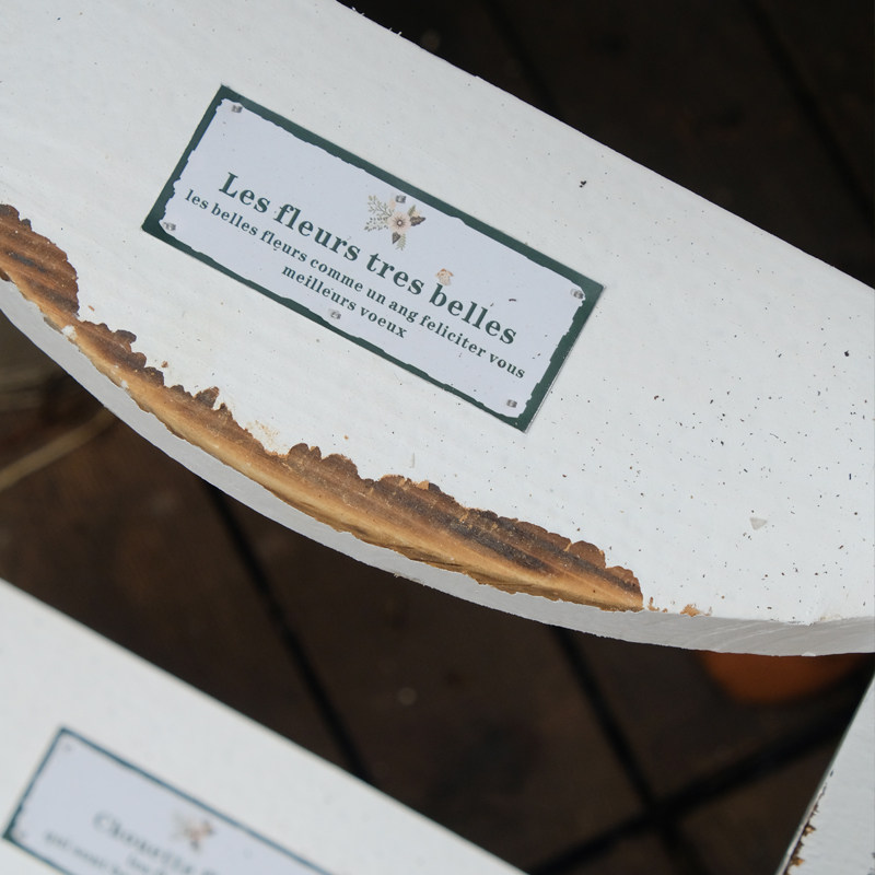 户外花园花凳梯子装饰实木杂货复古做旧白色放花盆,淘宝优惠券,粉丝福利购,淘宝优惠卷