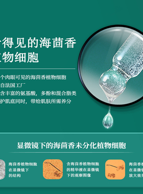 安茹茴香原生精华提亮肤色