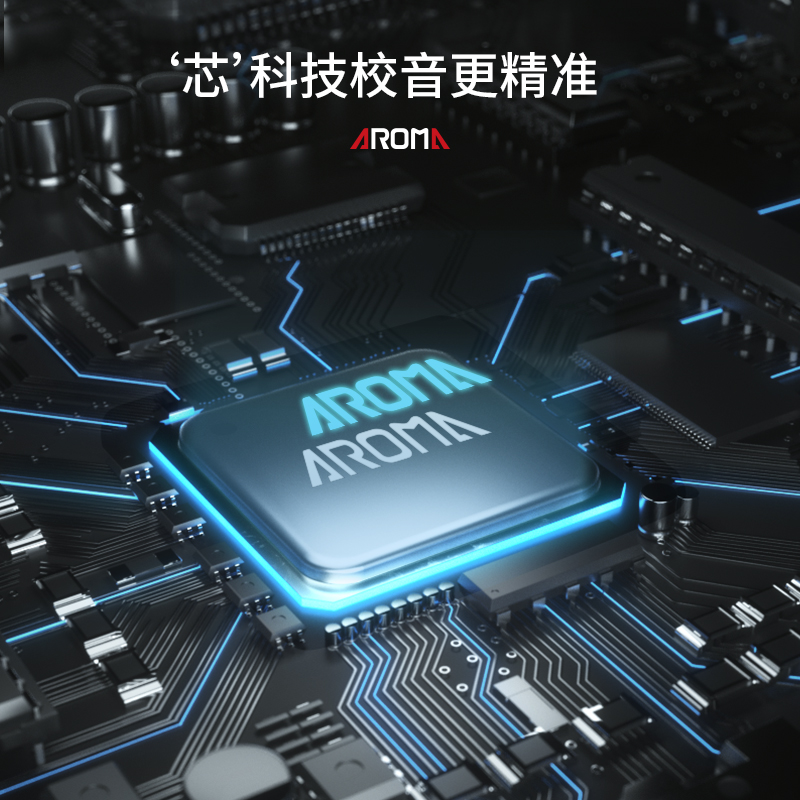 阿诺玛旗舰店阿诺玛AROMA AMT-560G 古筝专用调音器 节拍器定音器校音表三合一2