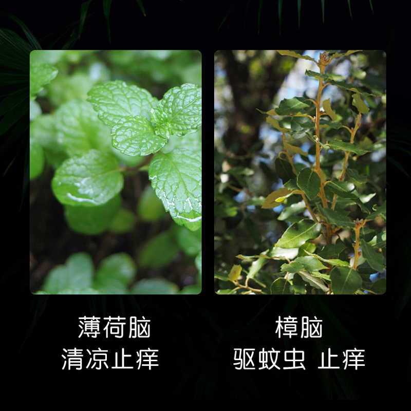 风油精驱蚊止痒头痛晕车提神醒脑上课熬夜犯困清凉油驱蚊18ml大瓶 - 图1