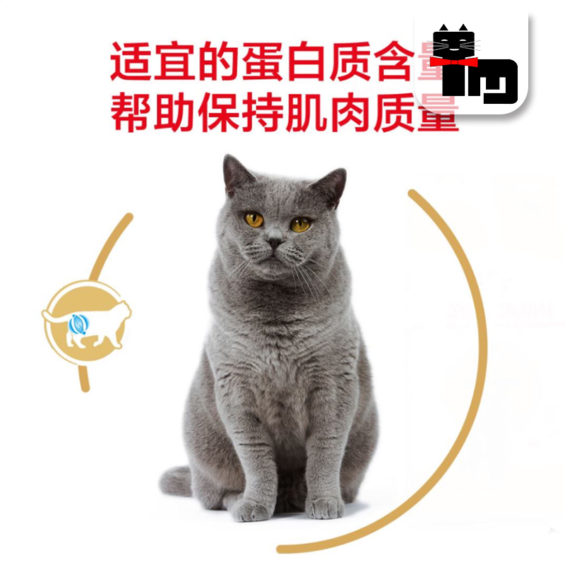 土猫宠物 国产皇家BS34英短美短成猫专用纯种猫粮2kg营养精准包邮 - 图0