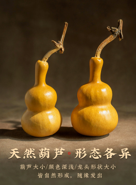 胖墩奶瓶葫芦天然手捻文玩手把件