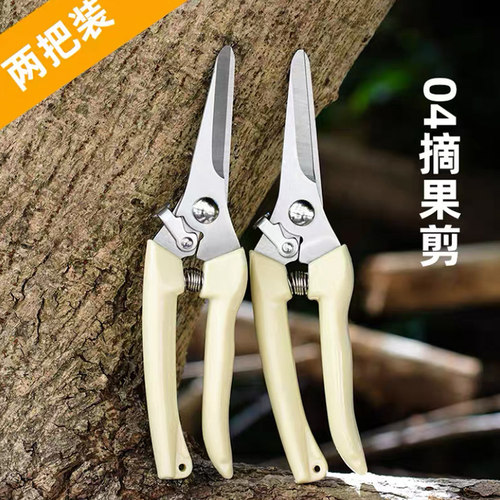 德国不锈钢强力园林园艺修枝剪清仓家用省力修花修剪树枝花艺剪刀 - 图0