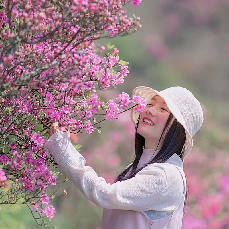 杜鹃花盆栽花卉植物室内花苗大棵带花苞四季开花好养易活老桩绿植-图1