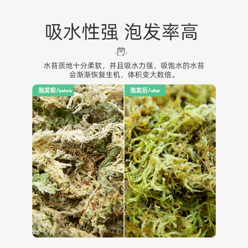 干水苔蝴蝶兰专用无菌养兰花的多肉草苔藓鲜活种植营养土食虫植物-图2