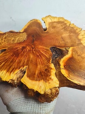 根雕太行非崖柏毛料底座树根雕刻