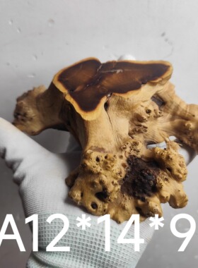 根雕摆件毛料杯垫树根山水造景木