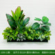 Outdoor flower box layout green ivy leaves decorate grass