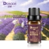 [Purple Beauty Beauty Official] Tinh dầu oải hương Tân Cương 10ml Hương liệu đơn - Tinh dầu điều trị