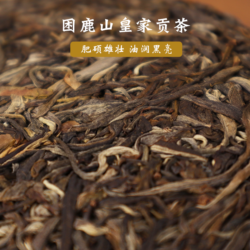 困鹿山皇家贡茶普洱茶生茶饼茶500年古树200g优雅矜贵 2022春现货