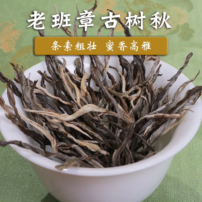 玉灯老人普洱茶生茶勐海布朗山老班章500年挑采古树2022秋50g散茶