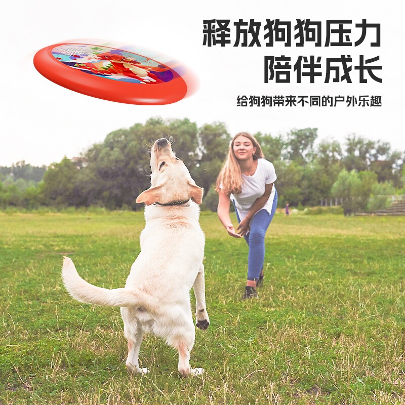  天猫超市飞盘/飞碟/竹蜻蜓类