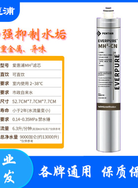 爱惠浦净水器滤芯MC2、MH2、BH2净水机配件可直饮去异味滤芯现货