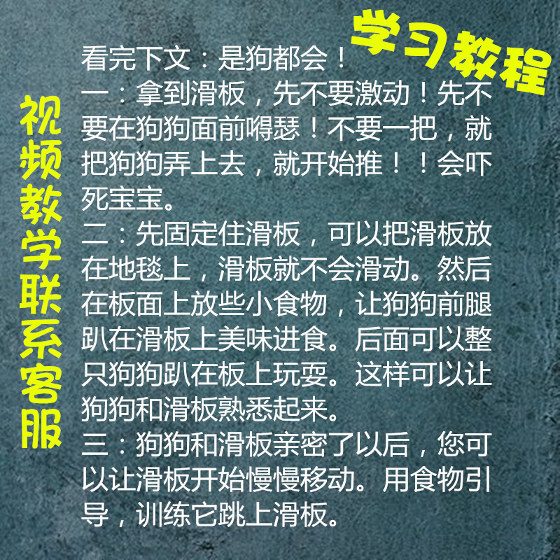 狗狗滑板车练习宠物滑板法斗英斗法牛斗牛犬英牛滑板专用滑板柯基 - 图1