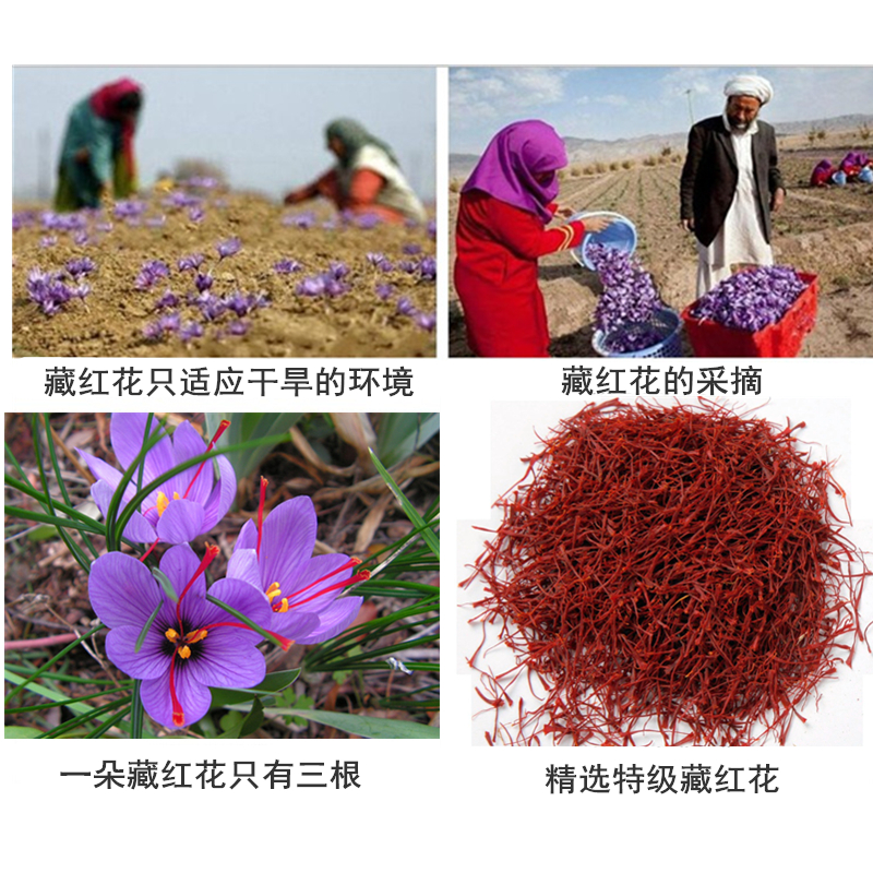【2g】散装藏红花 特级西藏正宗伊朗西红花泡水喝花茶saffron - 图0