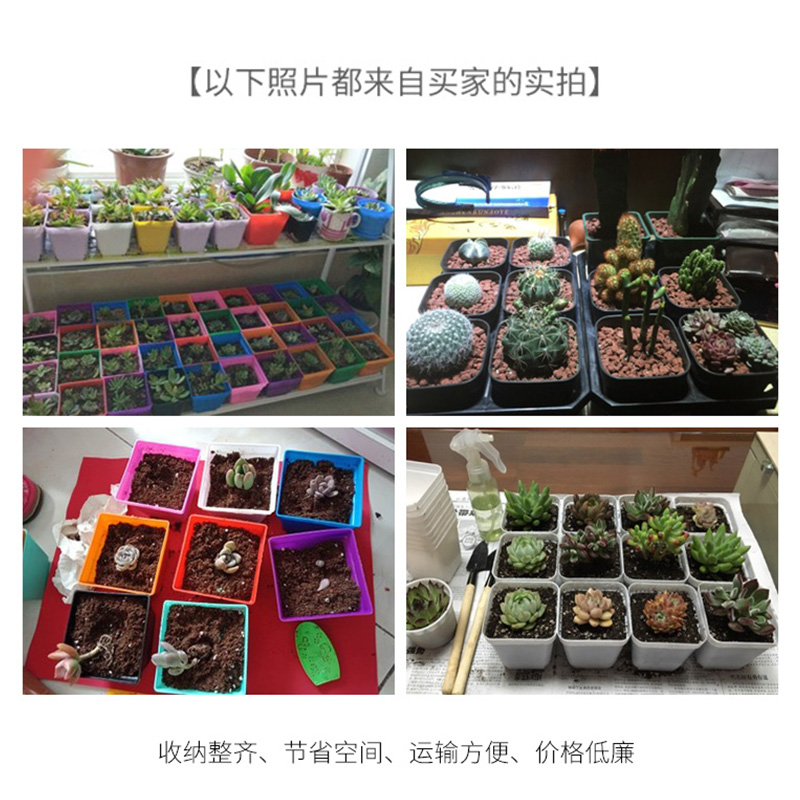 多肉植物花盆10cm塑料花盆育苗盆彩色种植盘托架套装清仓包邮处理